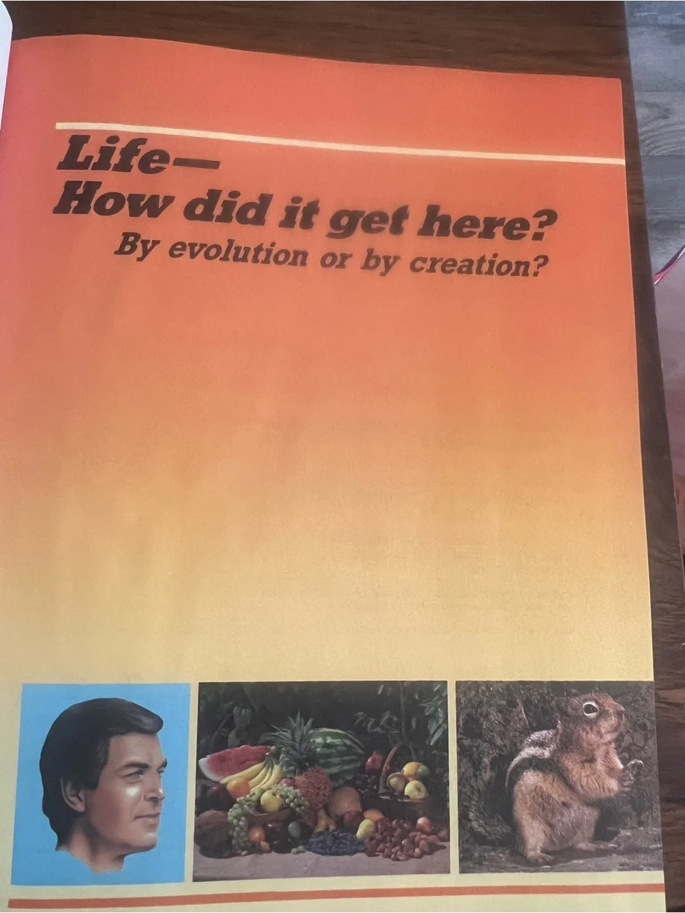 Watch Tower Bible & Tract Society Life—How Did It Get Here? HC Illus 1985 # 504